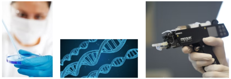 ヒト乳歯髄幹細胞エクソソーム（発毛治療）