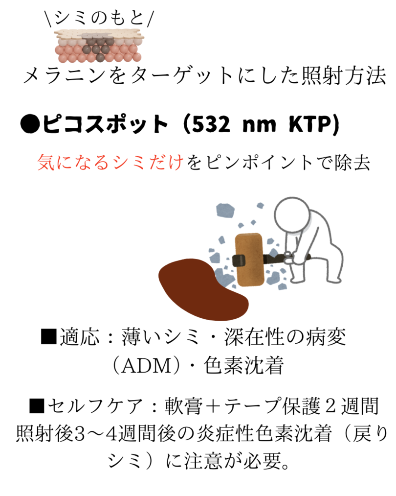 ディスカバリーピコレーザーの詳しい内容