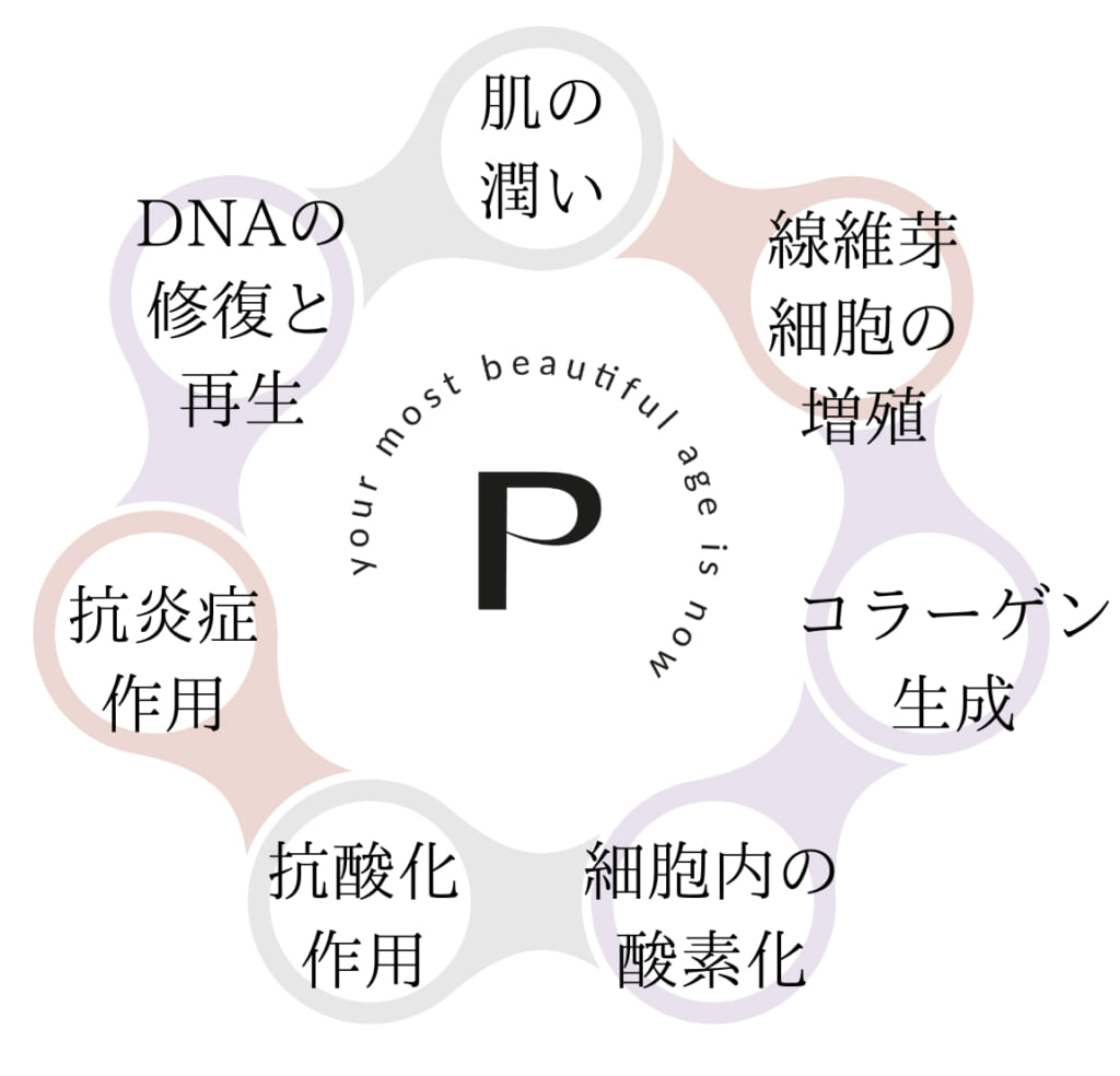プルリアルデンシフィアとは？